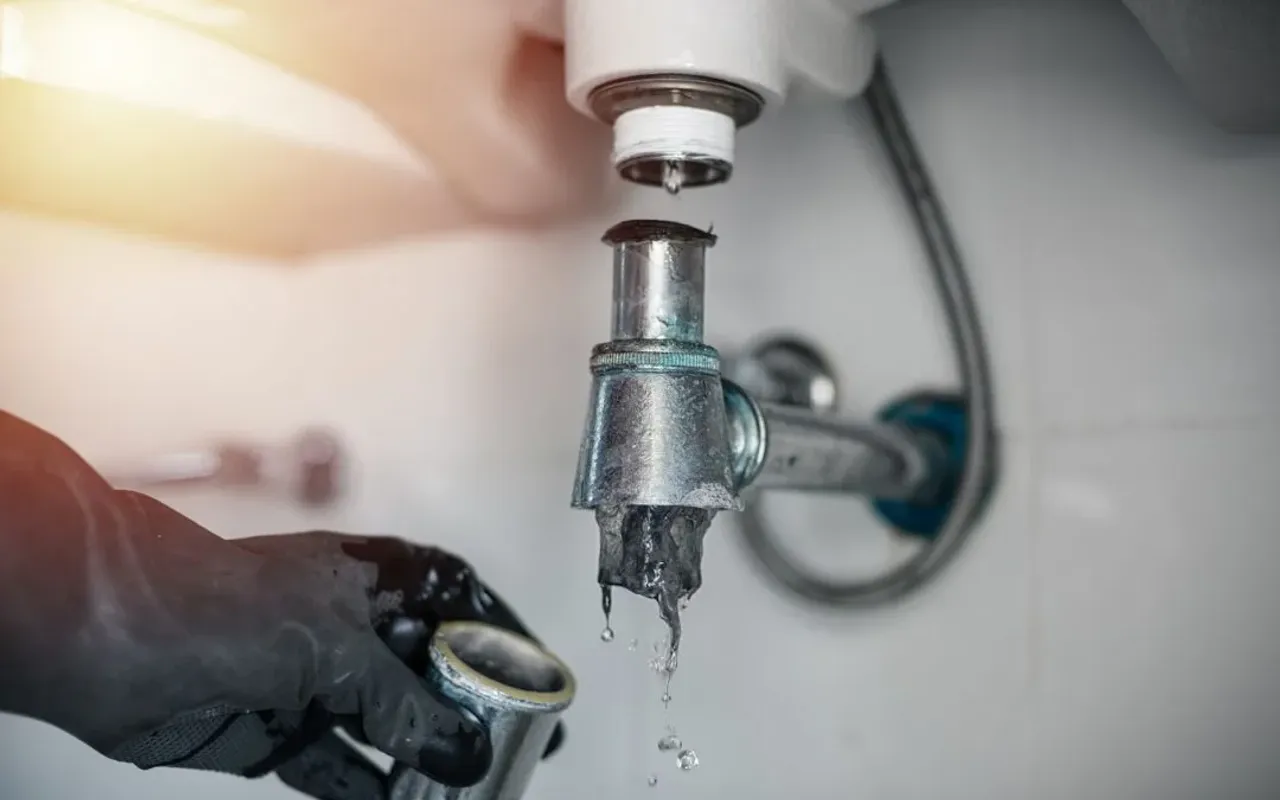 Plumber removing a sink trap packed with drain sludge